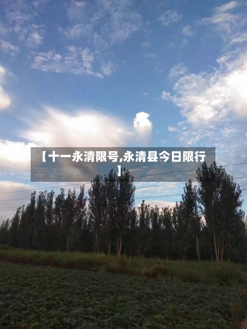 【十一永清限号,永清县今日限行】