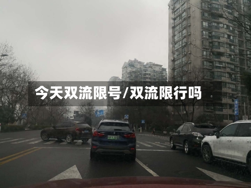 今天双流限号/双流限行吗