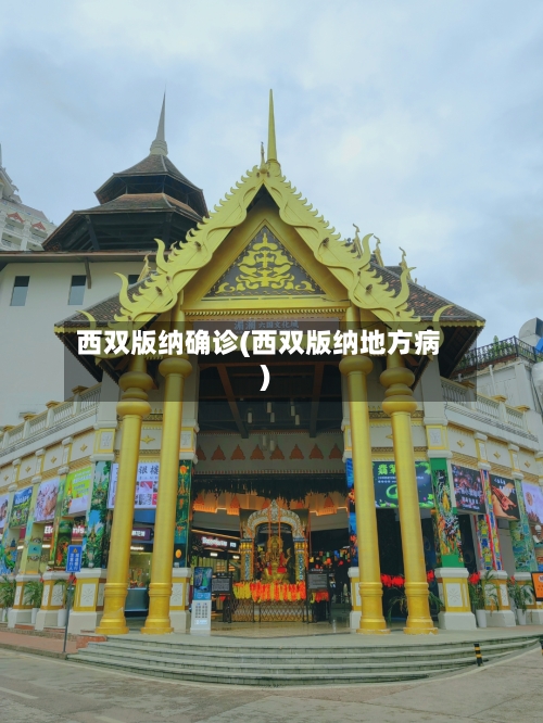 西双版纳确诊(西双版纳地方病)