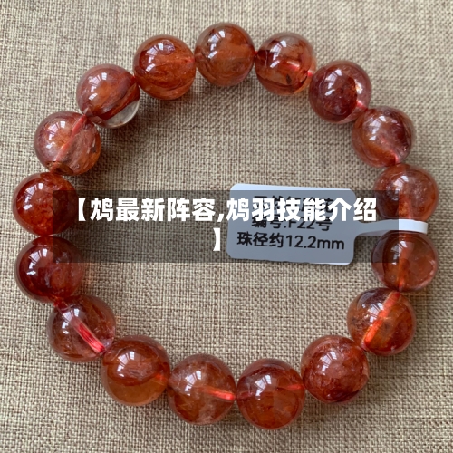 【鸩最新阵容,鸩羽技能介绍】