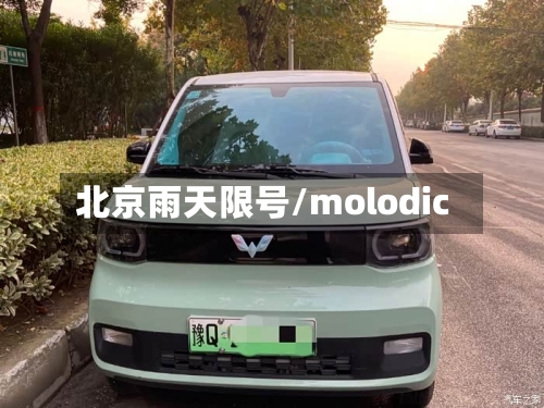 北京雨天限号/molodic