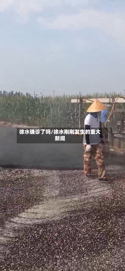 徐水确诊了吗/徐水刚刚发生的重大新闻