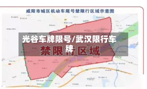 光谷车牌限号/武汉限行车牌