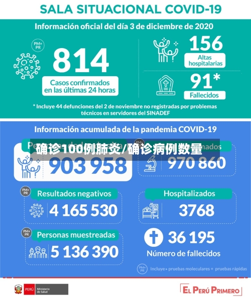 确诊100例肺炎/确诊病例数量