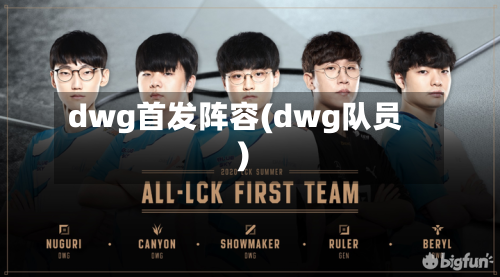 dwg首发阵容(dwg队员)