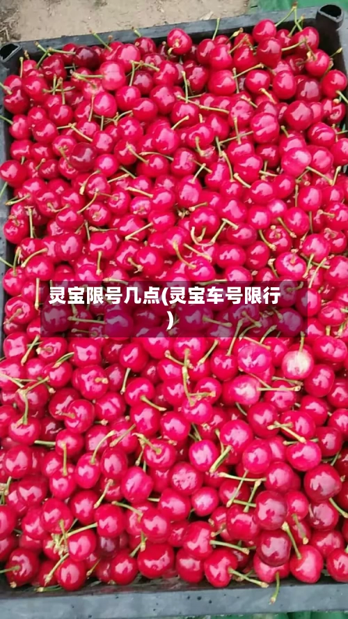 灵宝限号几点(灵宝车号限行)