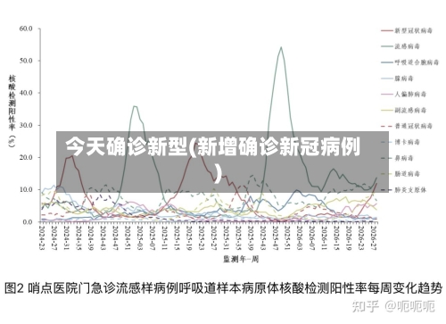 今天确诊新型(新增确诊新冠病例)