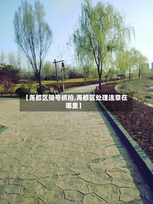 【尧都区限号抓拍,尧都区处理违章在哪里】