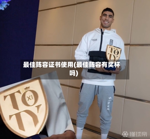 最佳阵容证书使用(最佳阵容有奖杯吗)