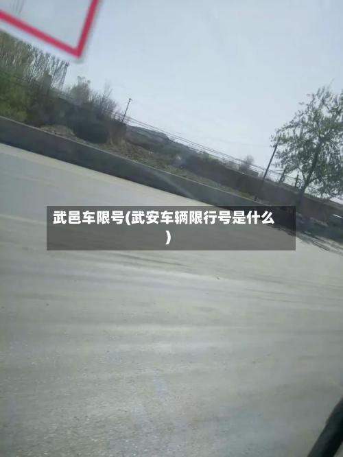 武邑车限号(武安车辆限行号是什么)