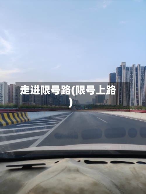 走进限号路(限号上路)