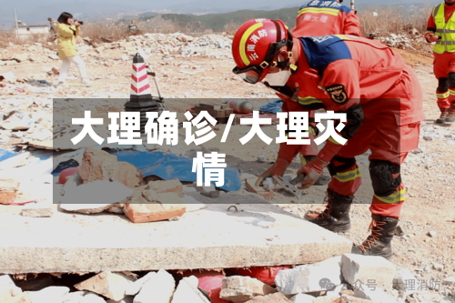 大理确诊/大理灾情