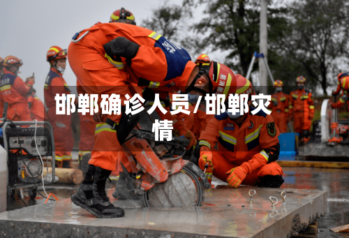 邯郸确诊人员/邯郸灾情