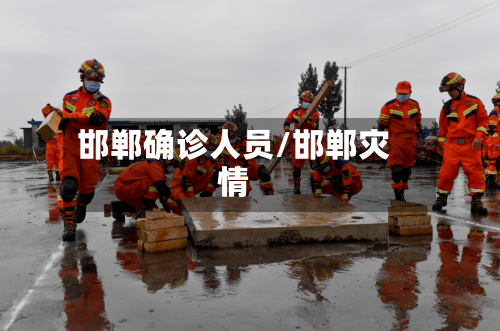 邯郸确诊人员/邯郸灾情