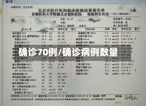 确诊70例/确诊病例数量