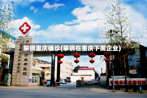 攀钢重庆确诊(攀钢在重庆下属企业)