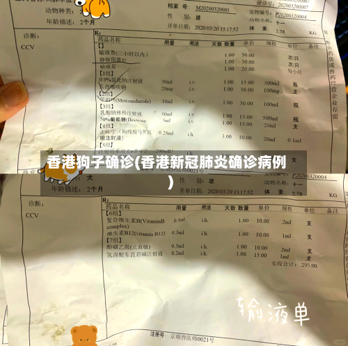 香港狗子确诊(香港新冠肺炎确诊病例)