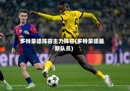 多特蒙德阵容主力阵容(多特蒙德最新队员)