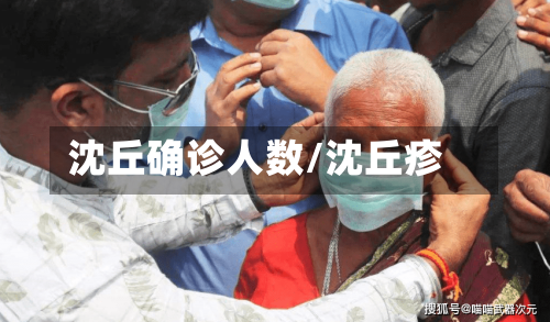 沈丘确诊人数/沈丘疹