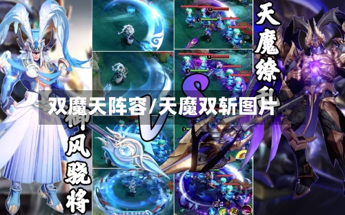 双魔天阵容/天魔双斩图片