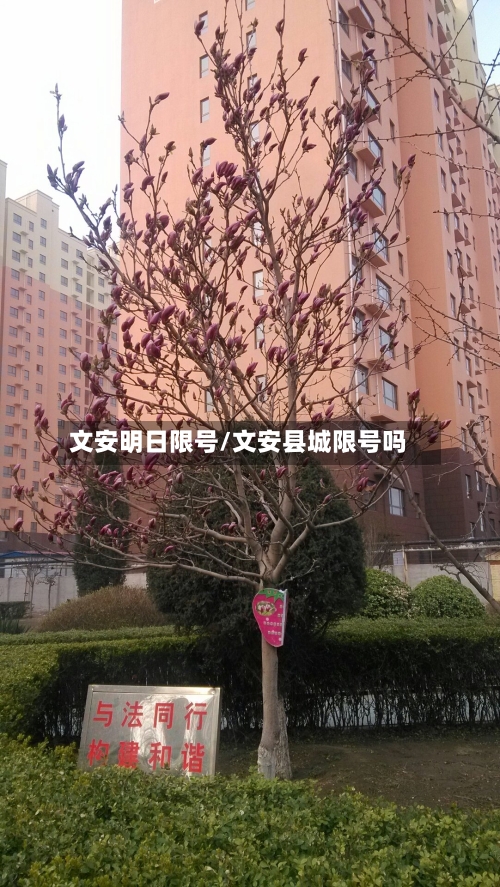 文安明日限号/文安县城限号吗