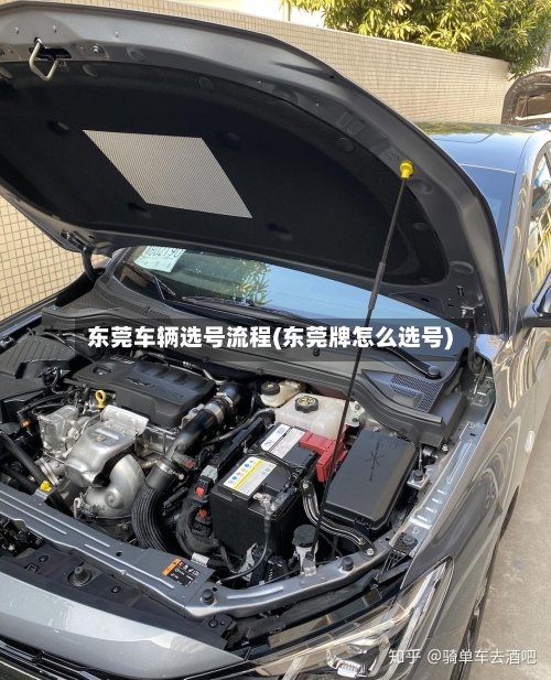 东莞车辆选号流程(东莞牌怎么选号)