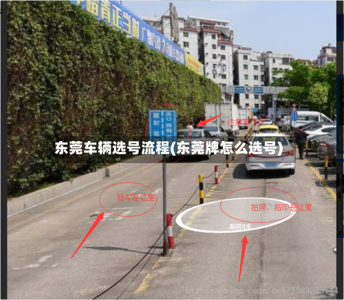 东莞车辆选号流程(东莞牌怎么选号)