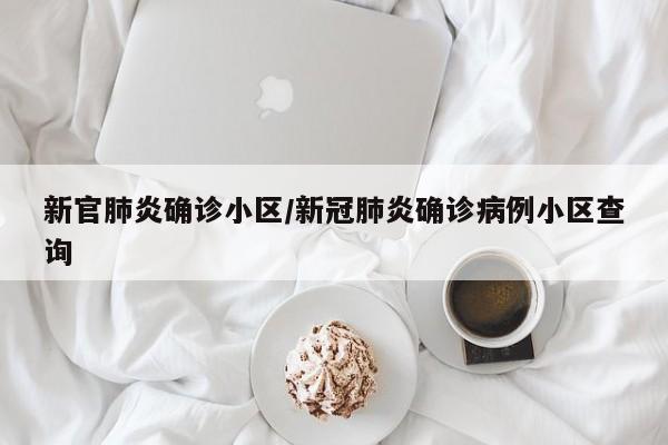新官肺炎确诊小区/新冠肺炎确诊病例小区查询