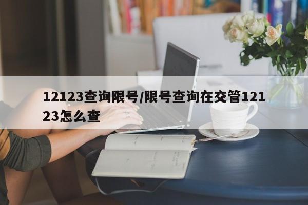 12123查询限号/限号查询在交管12123怎么查