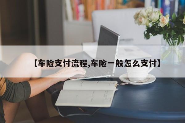【车险支付流程,车险一般怎么支付】