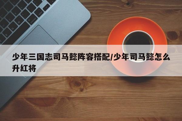 少年三国志司马懿阵容搭配/少年司马懿怎么升红将