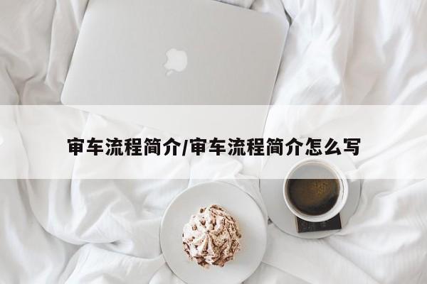 审车流程简介/审车流程简介怎么写