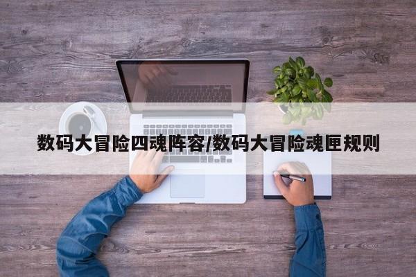 数码大冒险四魂阵容/数码大冒险魂匣规则