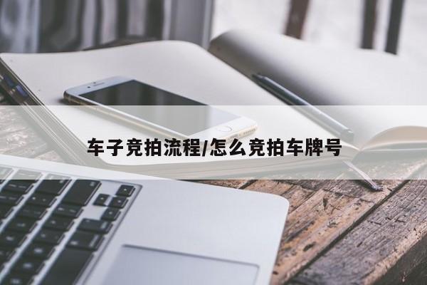 车子竞拍流程/怎么竞拍车牌号