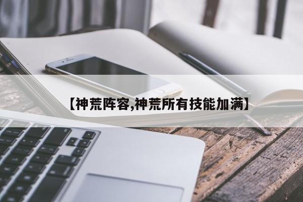 【神荒阵容,神荒所有技能加满】