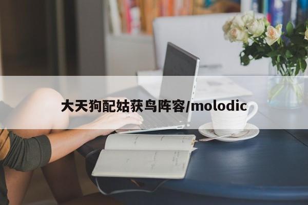 大天狗配姑获鸟阵容/molodic