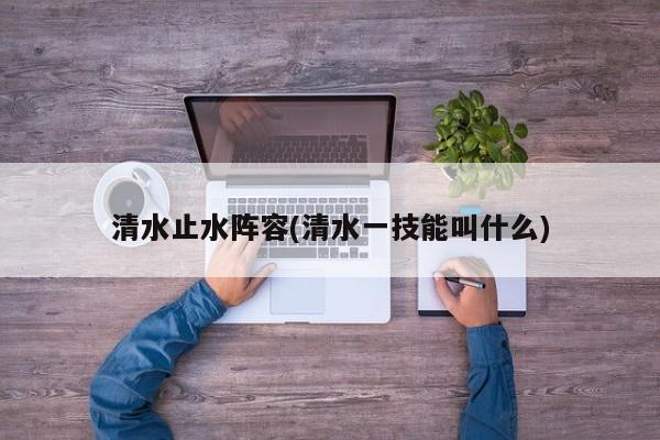 清水止水阵容(清水一技能叫什么)