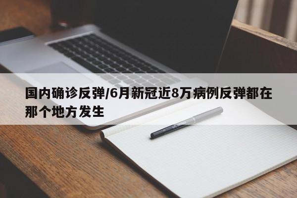 国内确诊反弹/6月新冠近8万病例反弹都在那个地方发生