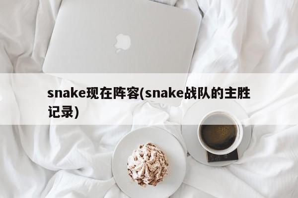 snake现在阵容(snake战队的主胜记录)